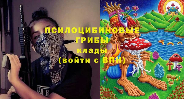 мдпв Володарск